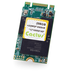 Cactus Tech Dacom west