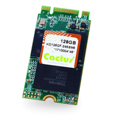 Cactus Tech Dacom west