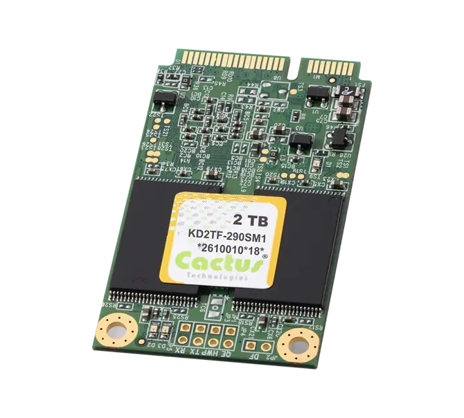 Industrial 3D TLC -290S-Serie mSATA-SSD Datenblatt Cactus Industrial 3D-TLC mSATA Series 290