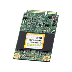 Cactus Industrial 3D-TLC mSATA Series 290