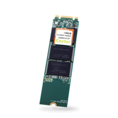 Cactus Technologie Cactus Technologies 290P Series High-Performance PCIe Interface M.2 2242