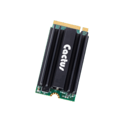 Cactus Technologie INDUSTRIAL pSLC M.2 PCIe 295P Series (2242)