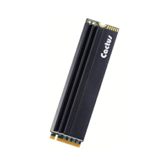 Cactus Technologie INDUSTRIAL pSLC M.2 PCIe 295P Series (2280)